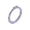 SL 120 Segerring A10